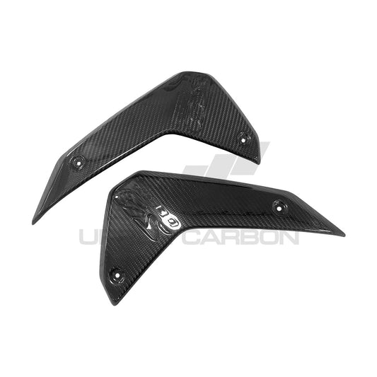 BMW R1300 GS/GSA Carbon Fiber Radiator Cover