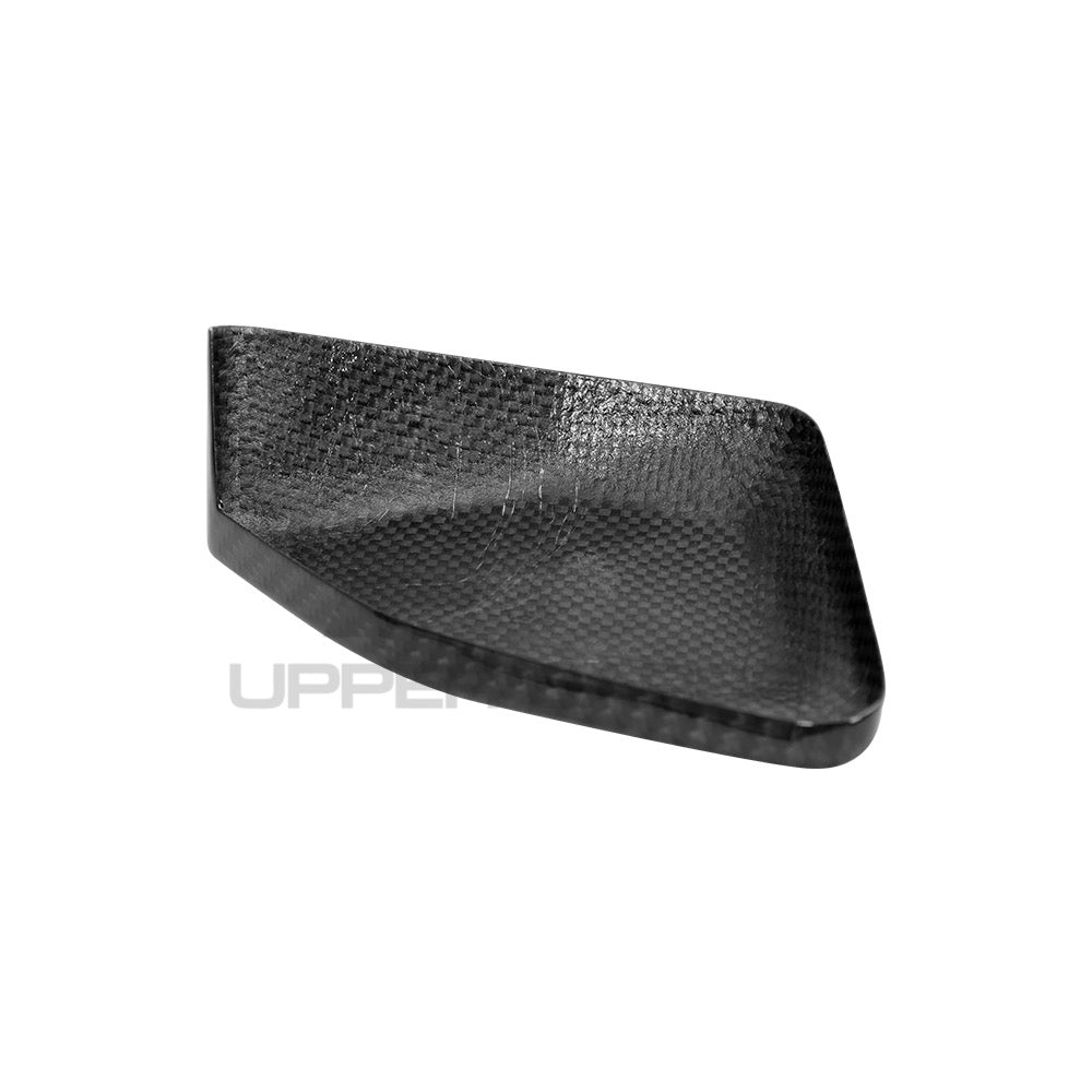 BMW R1250 GS/GSA Carbon Fiber ESA Cover