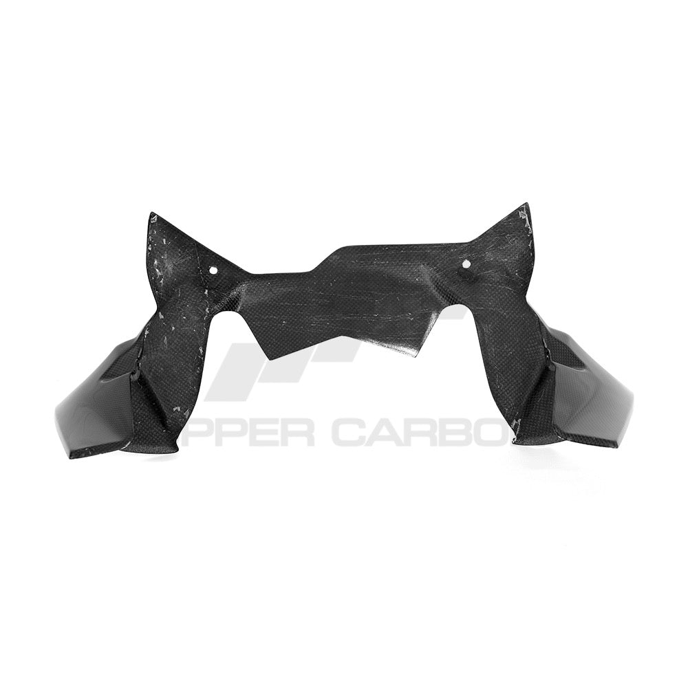 BMW R1250 GS/GSA Carbon Fiber On The Cockpit