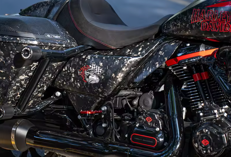 24+ TOURING CARBON PARTS