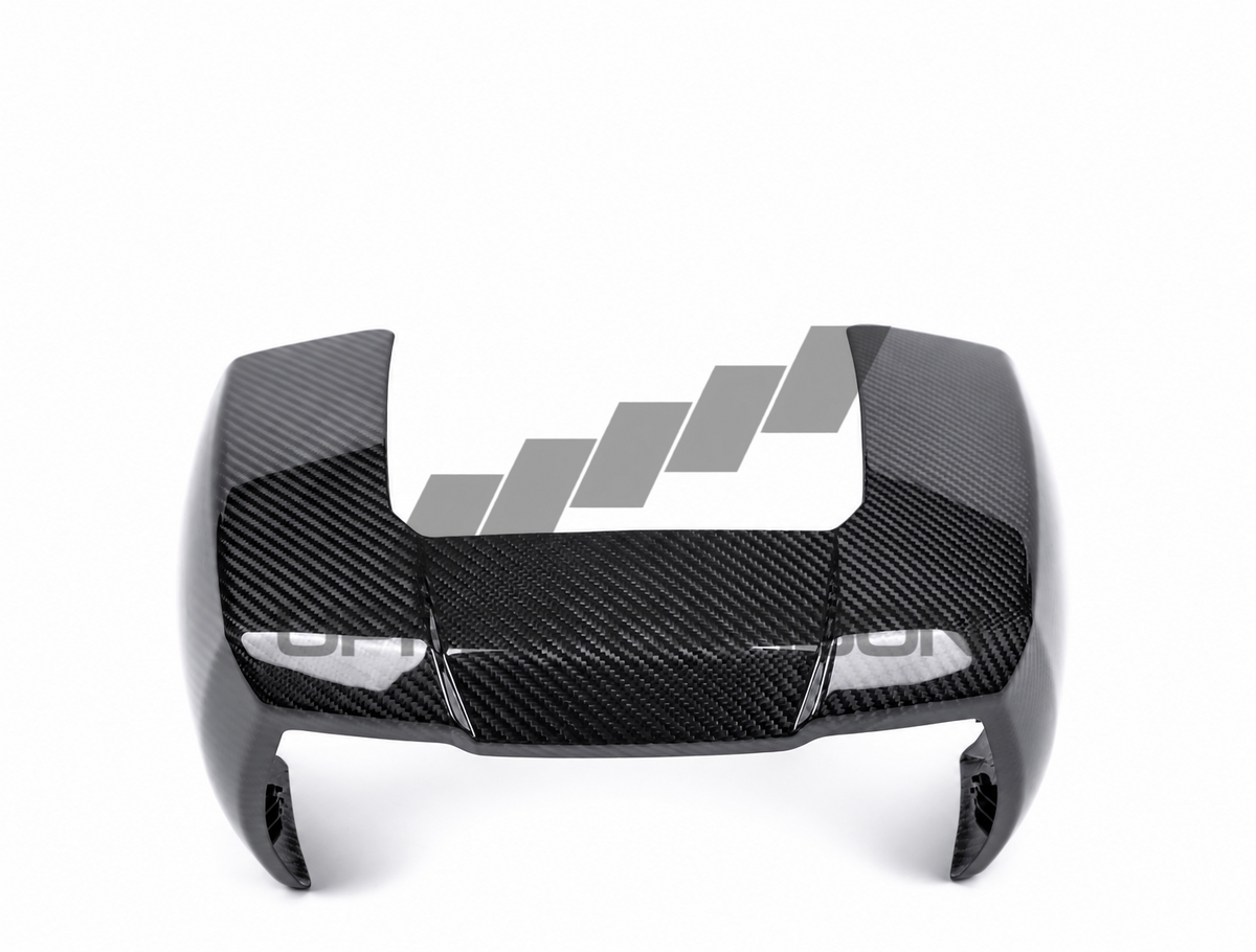 Harley Davidson Pan America Carbon Fairing