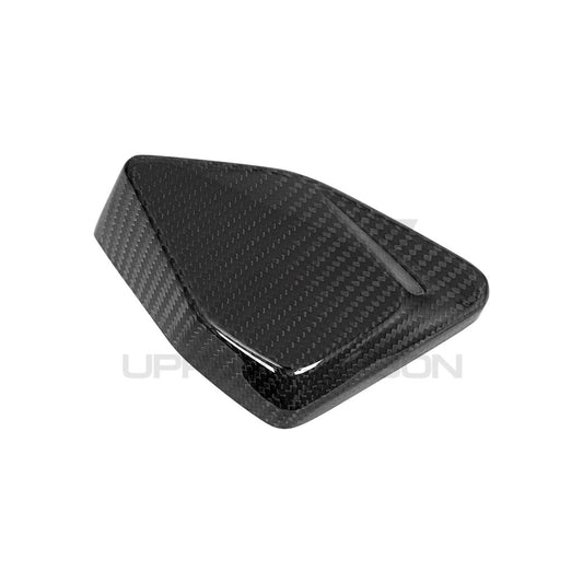 BMW R1250 GS/GSA Carbon Fiber ESA Cover
