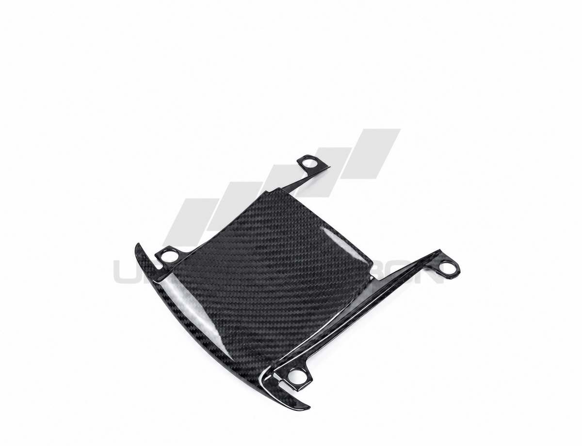 Harley Davidson Pan America Carbon Fiber Windscreen infill panel