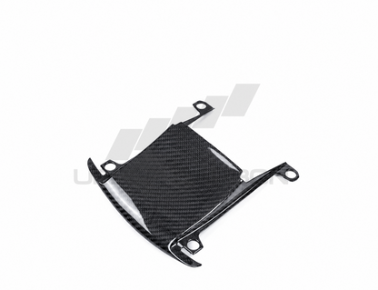 Harley Davidson Pan America Carbon Fiber Windscreen infill panel