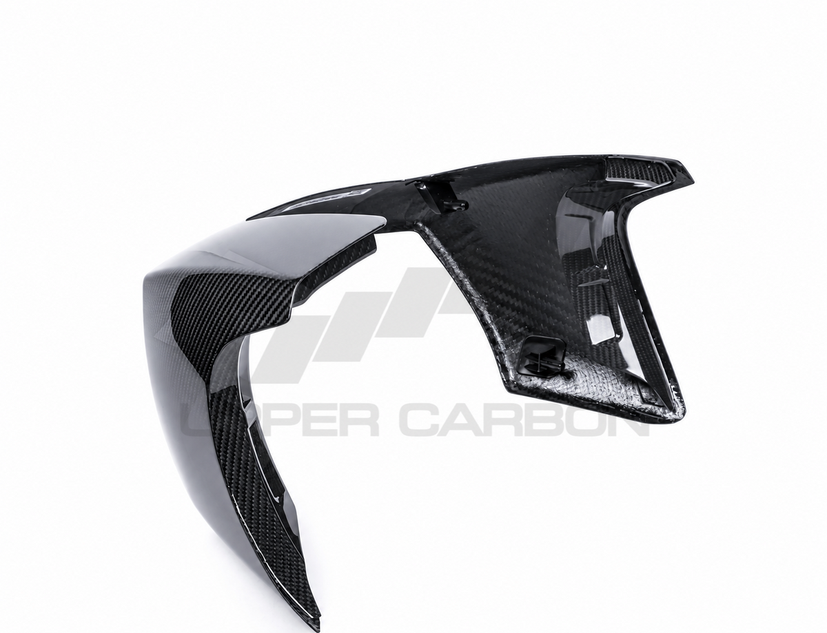 Harley Davidson Pan America Carbon Fairing