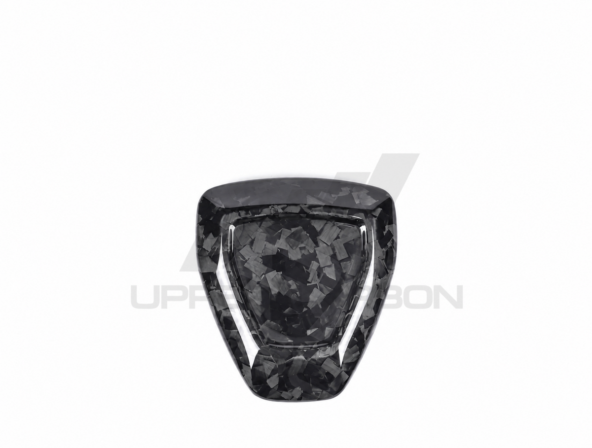 Harley Davidson Pan America Carbon Fiber Side Cover