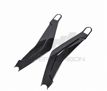 Harley Davidson Pan America Carbon Fiber Swingarm Cover