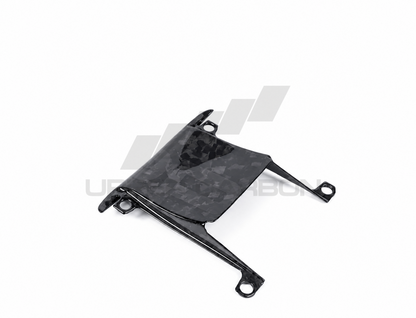 Harley Davidson Pan America Carbon Fiber Windscreen infill panel