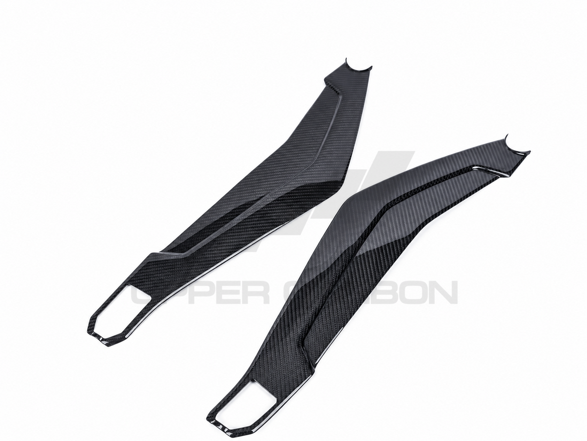 Harley Davidson Pan America Carbon Fiber Swingarm Cover