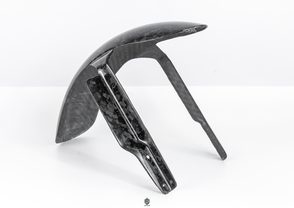 Low Rider ST Carbon Fiber Front Fender